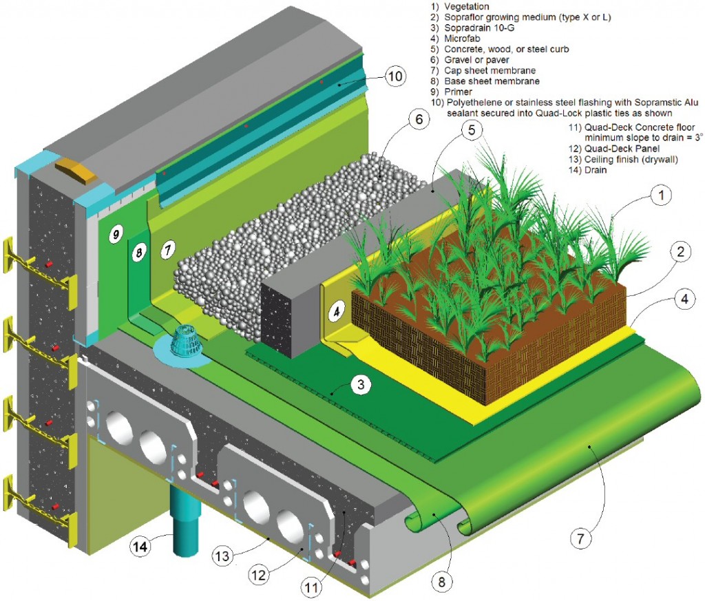 Green Roof-Cross Section