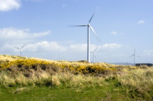Photo of wind turbine in field