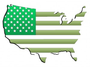 us_flag_green