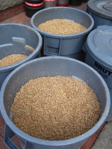 Cambridge Brewing Company also composts all of their spent grain and food waste
