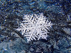 snowflake